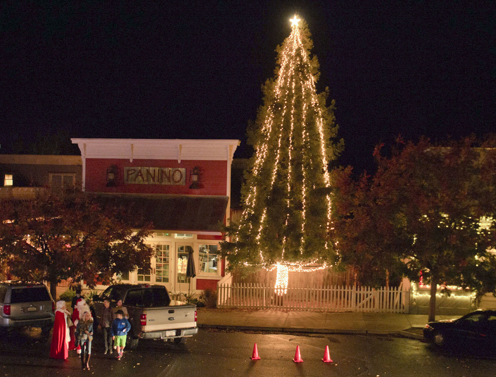 SY tree lighting